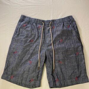 Caribbean Blue and White Patterned Shorts, Size 38 USA Flags 4th of July shorts